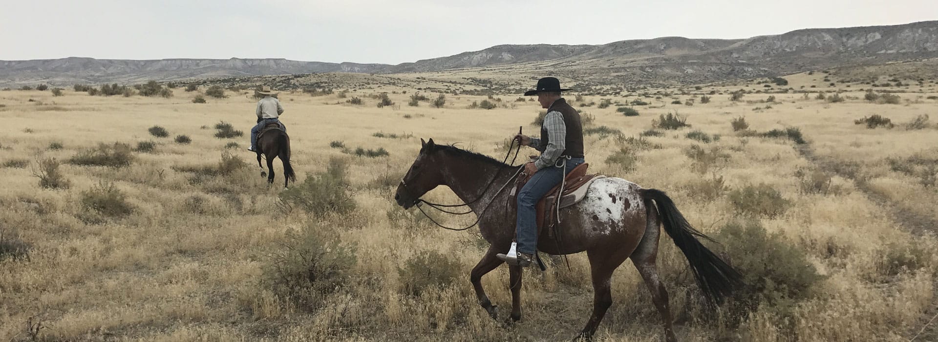 VAQUERO ONTARIO