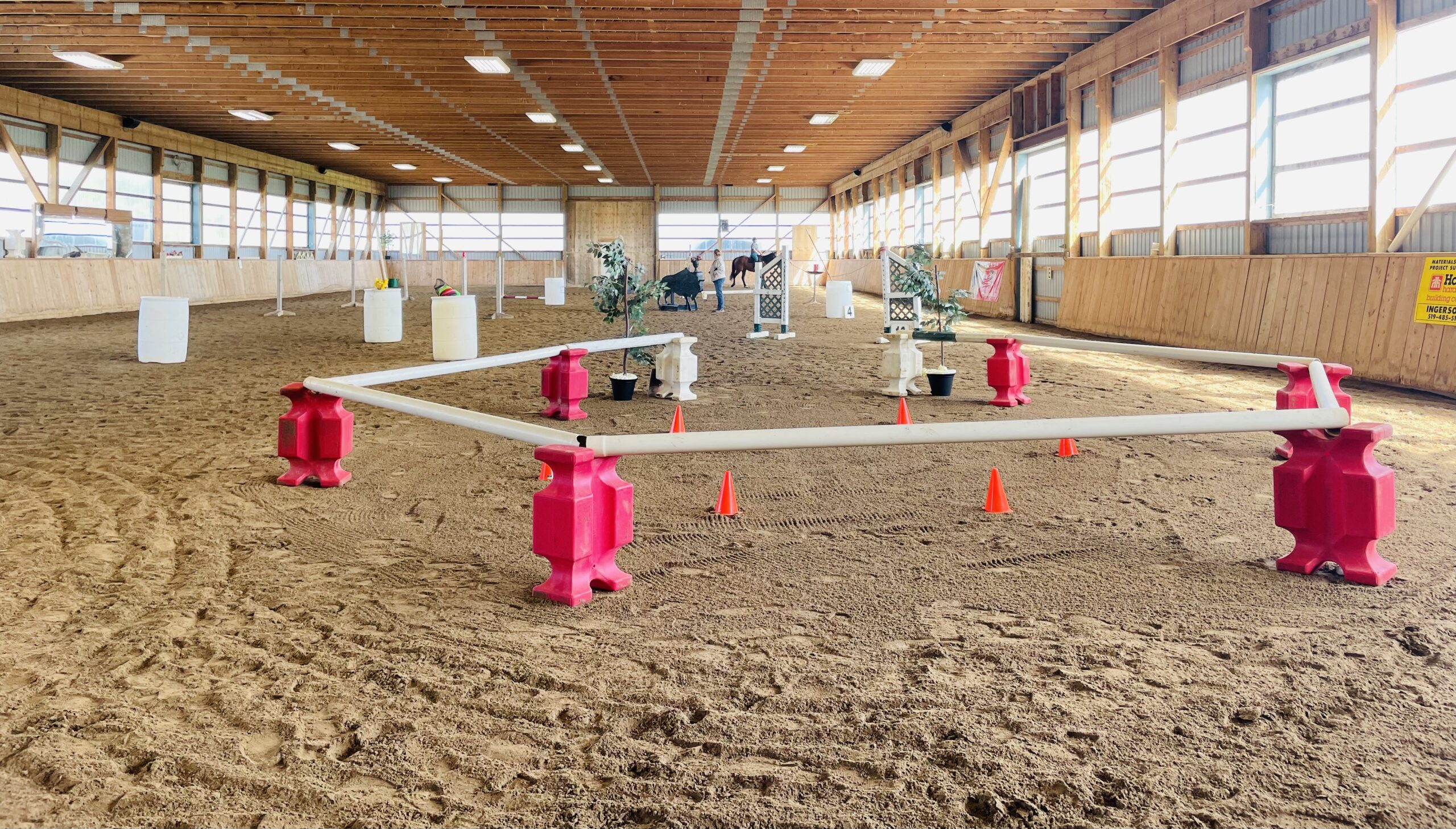 Exciting New Sport – Working Equitation