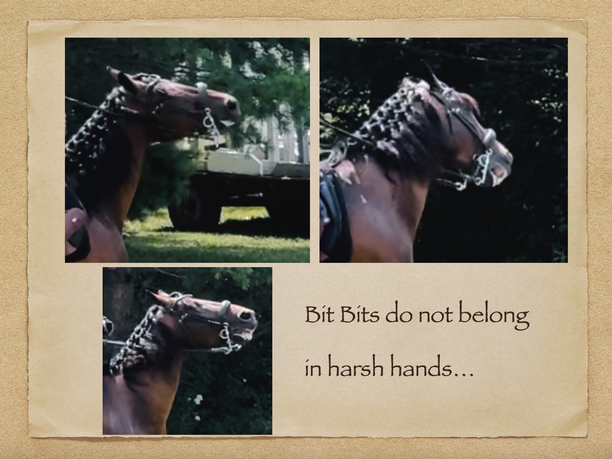 Working equitation: hard work, and time will reward the impatient.